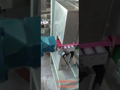 Μικρός κενός εξωθητής/κενό προϊόν ζύμης μύλων/αργίλου/εργαστηριακός εξωθητής