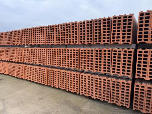 Τεχνολογία συστήματος στεγνώματος και ψησίματος γραμμής παραγωγής πήλινων τούβλων για πάνελ κοίλου μπλοκ &amp; τοίχου